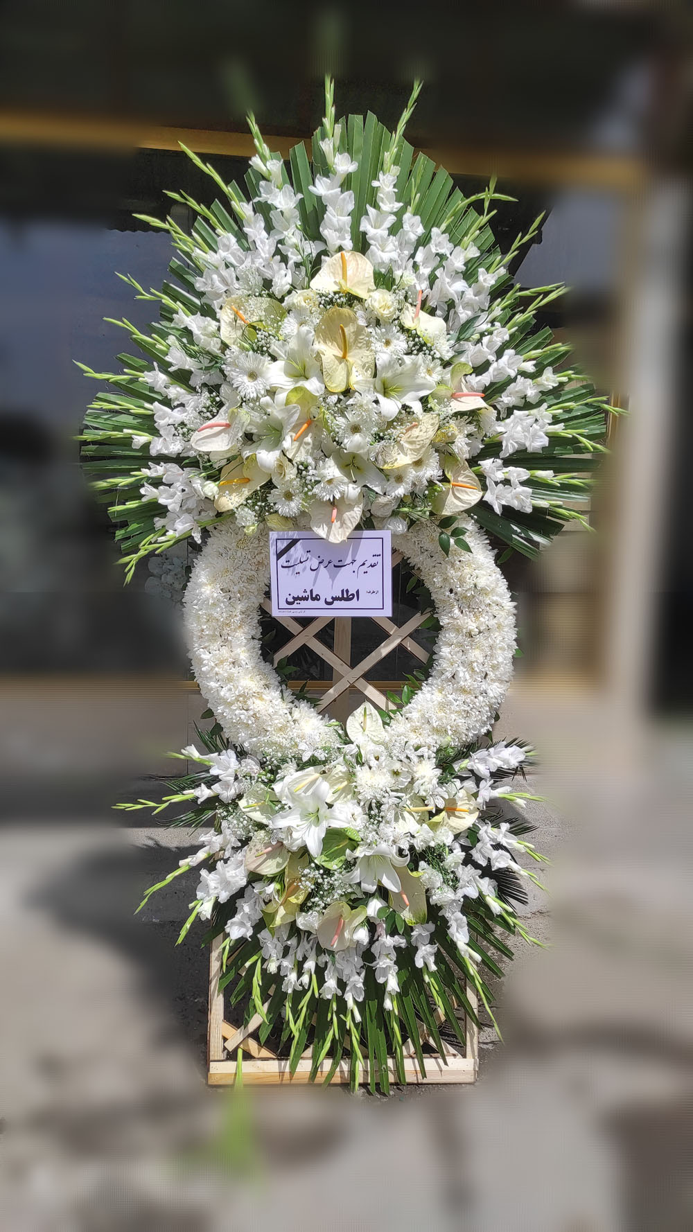 تاج گل درباری گلایولی (کد ۱۴۹)